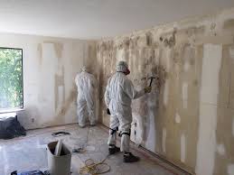 Reliable Lavallette, NJ Mold Remediation Solutions